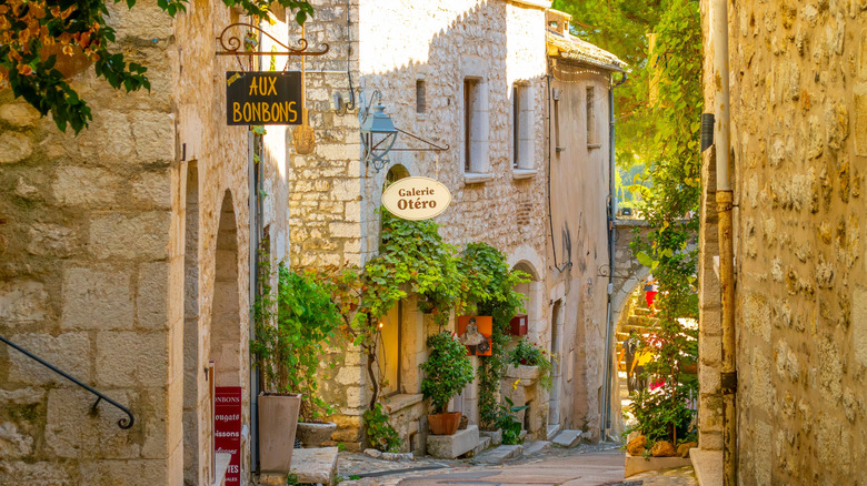 Provençal market stall with fresh lavender and cheese